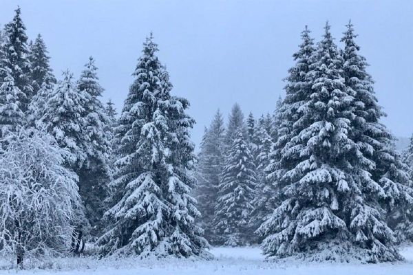 En Auvergne, la neige est tombée en ce matin de Noël, les routes sont difficiles d'accès. Il convient de rester prudents.