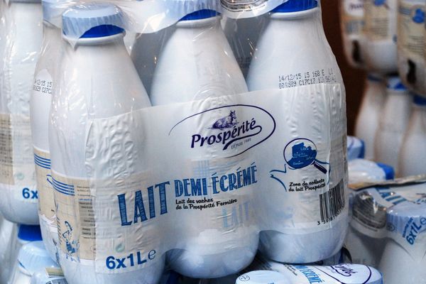 Le prix du lait jugé insuffisant par les agriculteurs