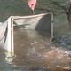 La rivière de la Cère (Cantal) regorge d'une biodiversité cachée.