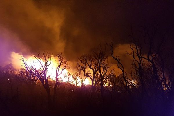 Incendie à  Bormes-les-Mimosas : image d'illustration.