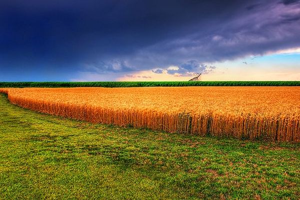 Une météo où l'arc-en-ciel pourrait passer la tête.