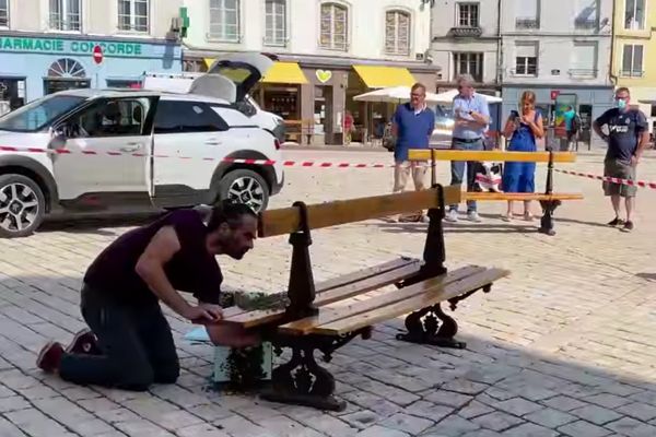 Un essaim d'abeilles s'est installé sur un banc public à Chaumont, en Haute-Marne. 