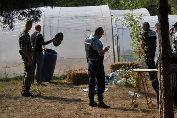 Les gendarmes de Loire-Atlantique enquêtaient depuis près de 4 mois, la culture de cannabis couvrait environ 800 m2.