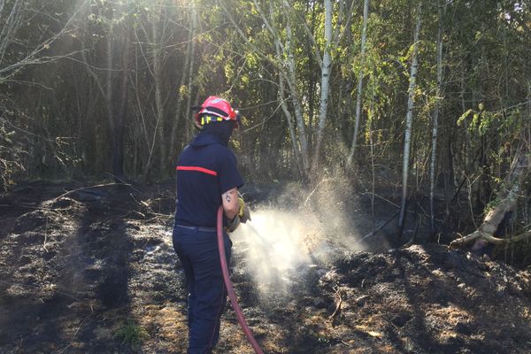 Feu de broussaille en Haute-Vienne en 2019.