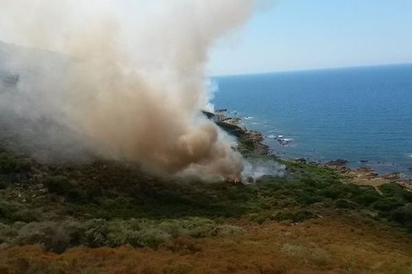 28/06/14 - Feu de maquis à Pevani en Corse-du-Sud