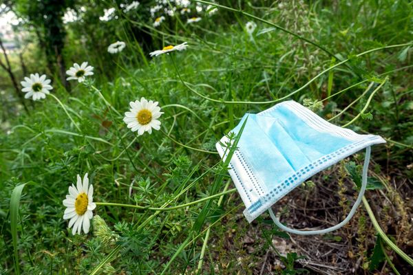 Un masque jeté dans la nature. (Photo d'illustration)