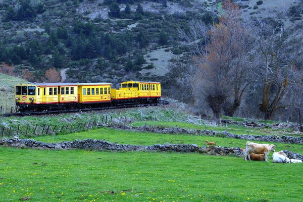 Le train jaune des Pyrénées-Orientales doit-il rouler lorsqu'il est vide ?