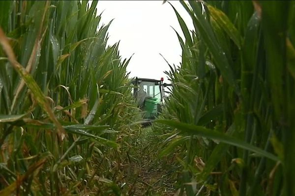 Quand Jérôme n'est plus dans les champs sur son tracteur, il devient agent commercial sur les routes de l'Allier pour un fabricant d'aliments pour bétail.