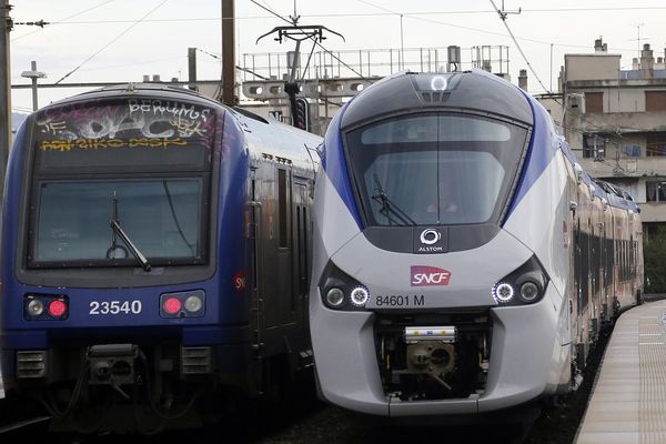 Des TER en gare de Marseille.