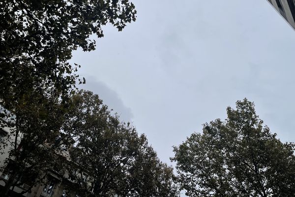 Du gris, du gris et encore du gris dans le ciel de la métropole