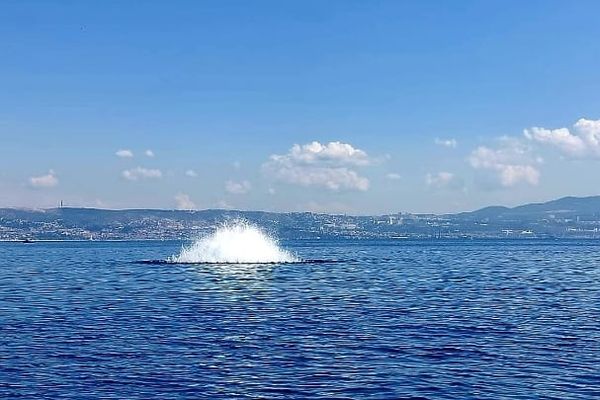 Une bombe de la seconde guerre détruite par la marine Nationale au large de Marseille, le mercredi 4 mai 2022