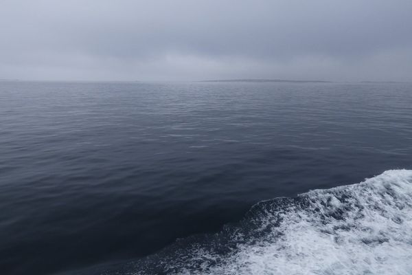 Lors d'une traversée Le Conquet à Molène