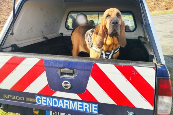 Happle a réalisé plus de 500 missions et sauvé 22 vies pendant 7 ans de travail au sein du PSIG de Sabre Auch. 