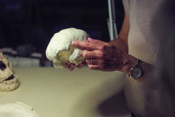 Un moulage de l'intérieur du crâne d'Arago 21 a été effectué au sein de l'atelier dédié à Tautavel.