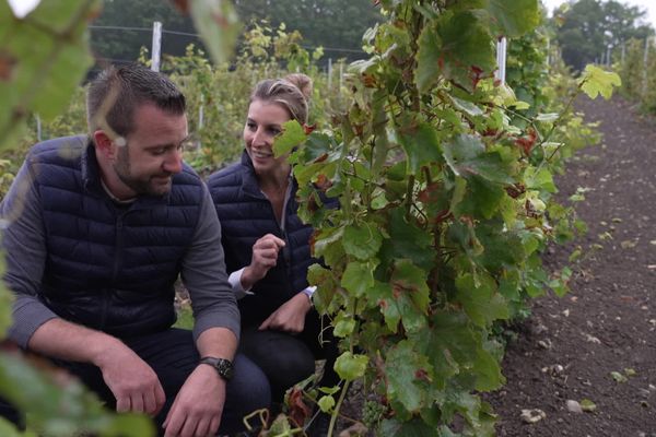 Sébastien Fricker et sa compagne Claire De Meyer dans le vignoble du domaine des Déserts, en plein Pays d'Auge