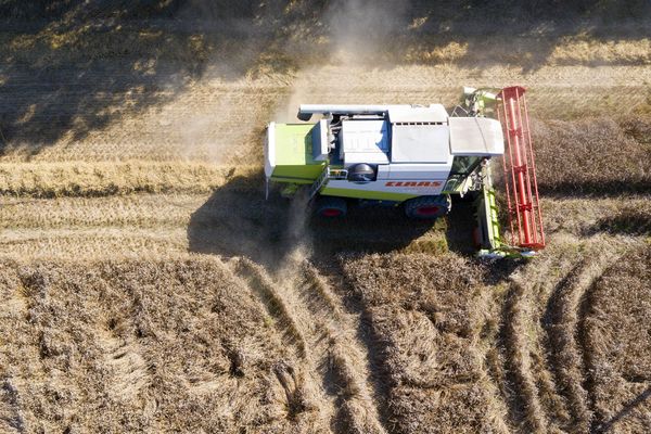 La guerre en Ukraine met en difficulté les agriculteurs.