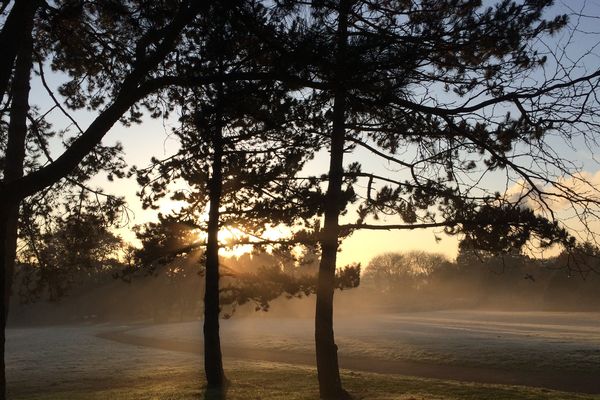 Le parc du grand Blottereau, à Nantes.