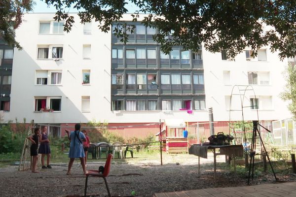 L'Oasis a un potager, des poules et des espaces de jeux à disposition des enfants du quartier de la Mosson à Montpellier