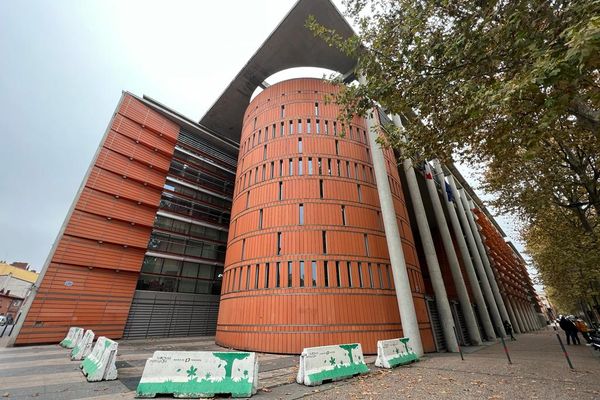 L'auteure des faits est mise en examen au Palais de justice de Toulouse.