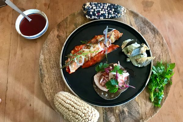 L'assiette mexicaine : ceviche végétal et sa tortilla frite