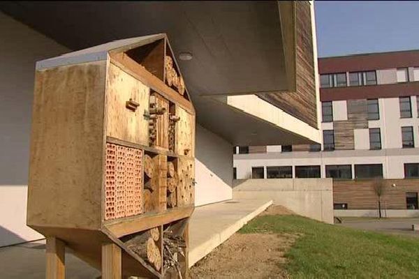 Une journée au Lycée Agricole