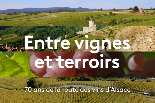 France 3 Grand Est et France Bleu présentent une émission spéciale sur le 70e anniversaire de la Route des vins d'Alsace.