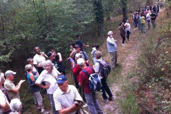 Centre-trente bénévoles ont participé aux recherches pour tenter de retrouver Suzanne Bourlier disparue depuis le 12 juillet 2015 à Lamotte-Beuvron (Loir-et-Cher)