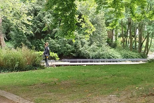 Déambulation au sein du parc de la Patte d'oie, à Reims.