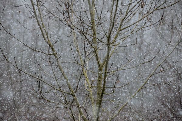 Flocons de neige et verglas à prévoir pour ce lundi.