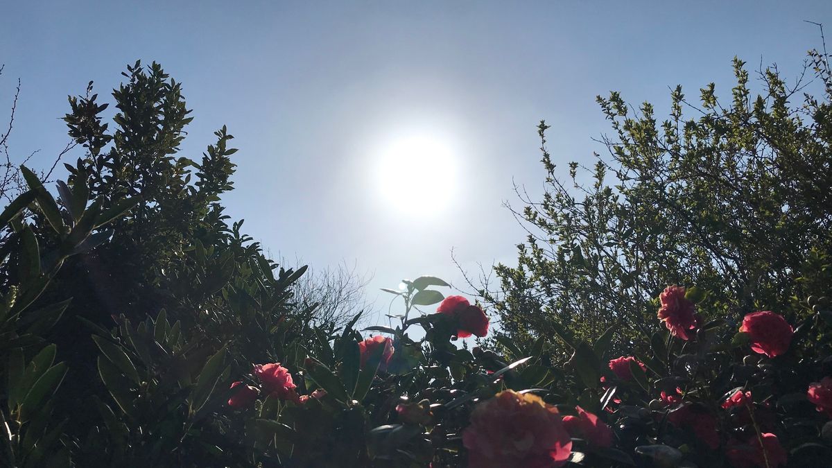 Meteo En Pays De La Loire Encore Du Soleil Ce Mardi