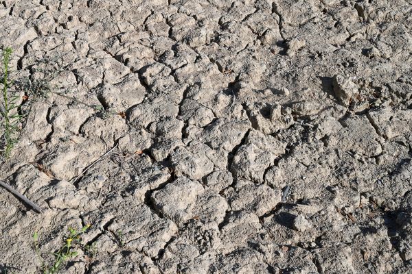 Les fortes pluies de et automne en Languedoc-Roussillon n'ont pas suffi à remplir les nappes phréatiques.