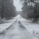 Il neige à gros flocons à Tanville, en forêt d'Ecouves, samedi 8 février.