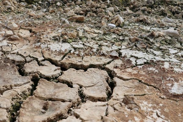 Une terre asséchée dans le Nord.