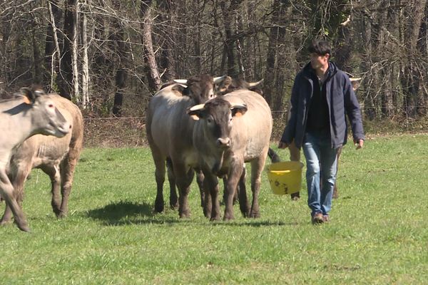 Pour les éleveurs du Sud Gironde, l'abattoir de Bazas est essentiel