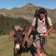 Le refuge des Espuguettes dans les Hautes-Pyrénées est ravitaillé, deux fois par semaine, grâce à la méthode ancestrale du muletage.