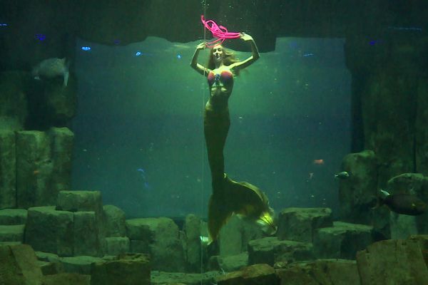 Les sirènes. C’est une passion à la fois sportive et merveilleuse. Un rêve d’enfant qui ne fait que grandir dans le coeur des petites filles.