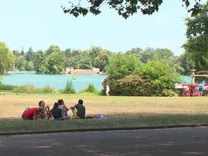 Au parc de la Tête d'or, ce dimanche 11 août.