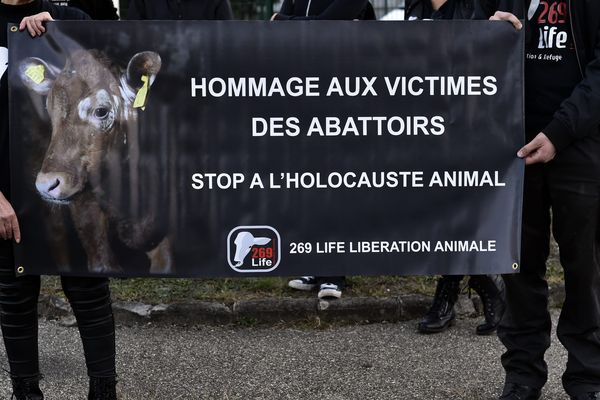 MANIF DE L'ASSOCIATION 269 LIFE LIBERATION ANIMALE DEVANT LES ABATTOIRS DE LA TALAUDIERE en septembre 2017