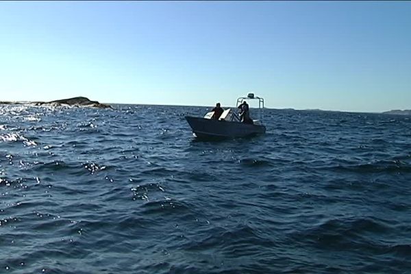 En plein Atlantique Nord, dans des eaux à 12°, le nageur franc-comtois a rallié l'île verte canadienne à l'île française de Saint-Pierre 