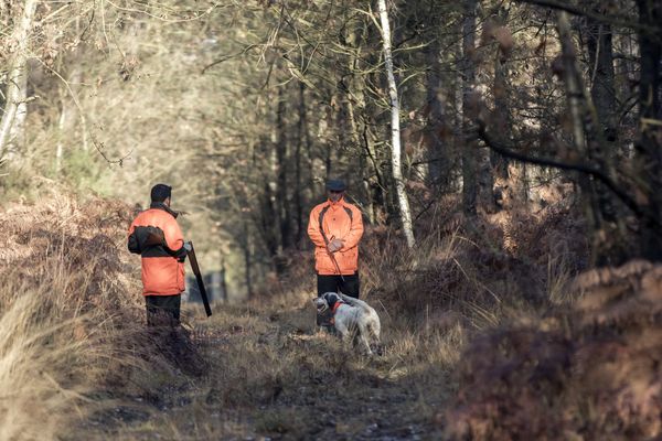 C'est le premier accident de chasse depuis deux ans dans la Drôme