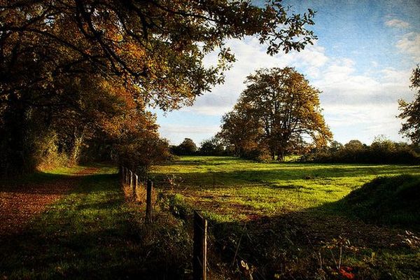 C'est l'automne dans le Nord Pas-de-Calais.