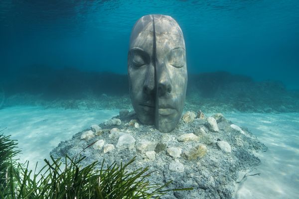 Les 6 sculptures de l’artiste Jason deCaires Taylor ont été immergées aux abords de l’île Sainte-Marguerite.