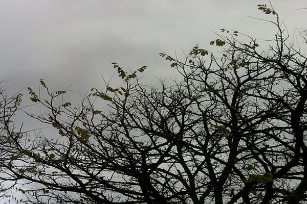 Le ciel restera très nuageux dans les jours prochains, indique Météo France