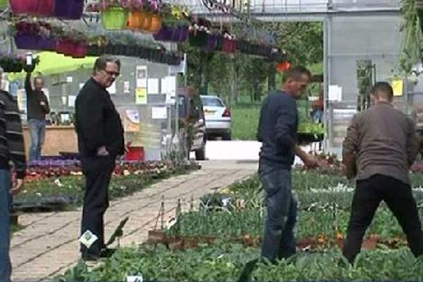 De nombreuses variétés de plans de légumes et de fleurs sont disponibles.