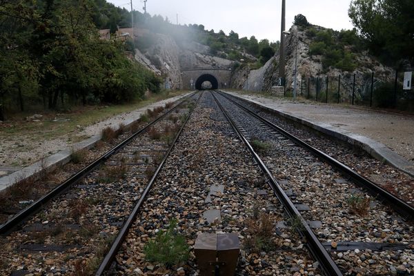 En 2018, 41 morts et 32 blessés graves sur les rails de chemin de fer