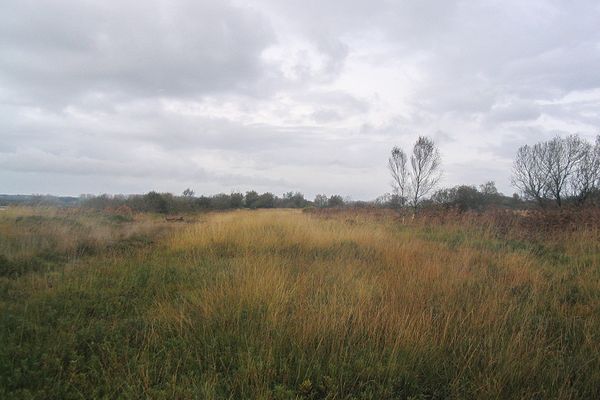 La tourbière de Baupte (Manche), qui s’étend sur 600 hectares, est exploitée industriellement depuis 1946.