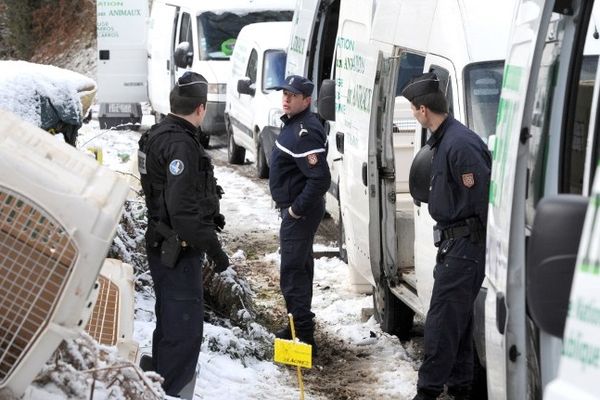 Peyrat-le-Château : des gendarmes participent à la saisie de chiens par des membres des services vétérinaires de la Haute-Vienne, le 17 décembre 2010 dans un élevage de Peyrat-le-Château où des chiens étaient détenus dans des conditions déplorables.