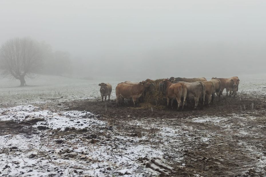 METEO. Les premiers flocons de neige en Lozère au dessus de 500 mètres, la pluie attendue pour la fin de semaine