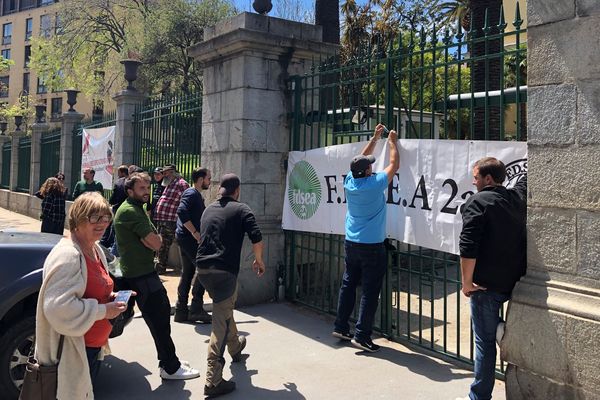 Les syndicats agricoles FDSEA et les Jeunes Agriculteurs de Corse-du-Sud ont occupé les locaux de la Direction Départementale des Territoires et de la Mer à Ajaccio. 