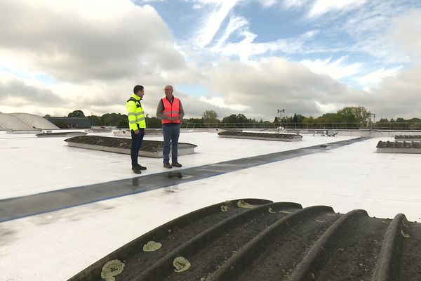 Une peinture réfléchissante faite à base de coquille d'huitre permet de réguler la température à l'intérieur du bâtiment, le 2 octobre 2024, en Haute-Vienne.